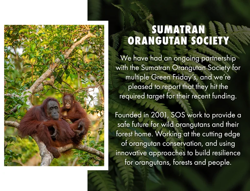 Sumatran Orangutan Society