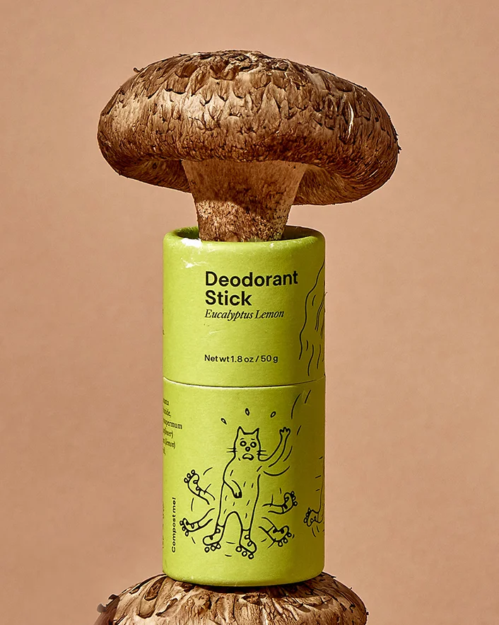 A brown mushroom sitting on a green tube
