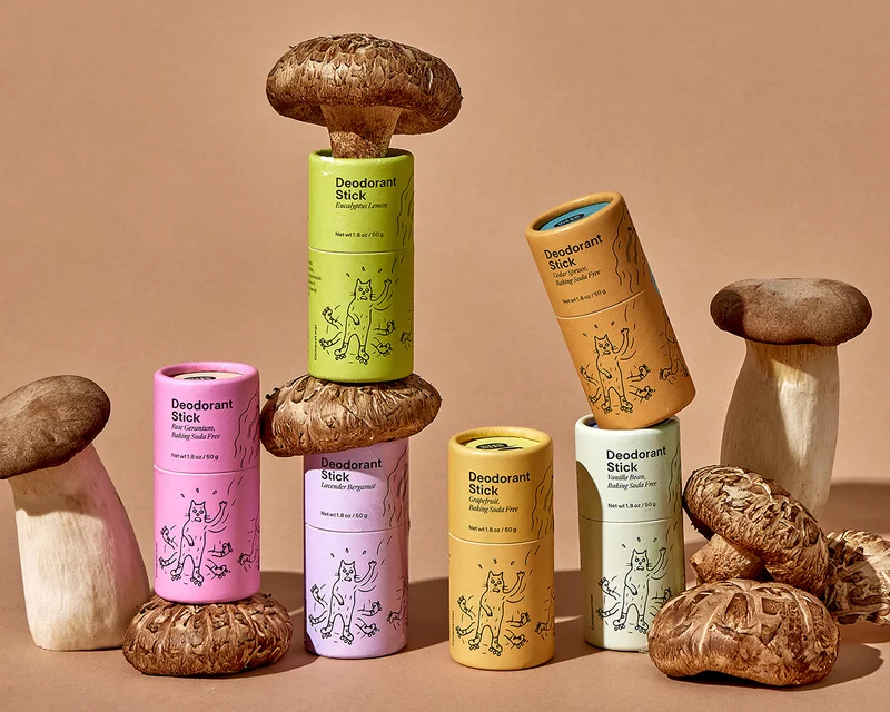 A rainbow of colorful paper tubes stacked with brown muchrooms