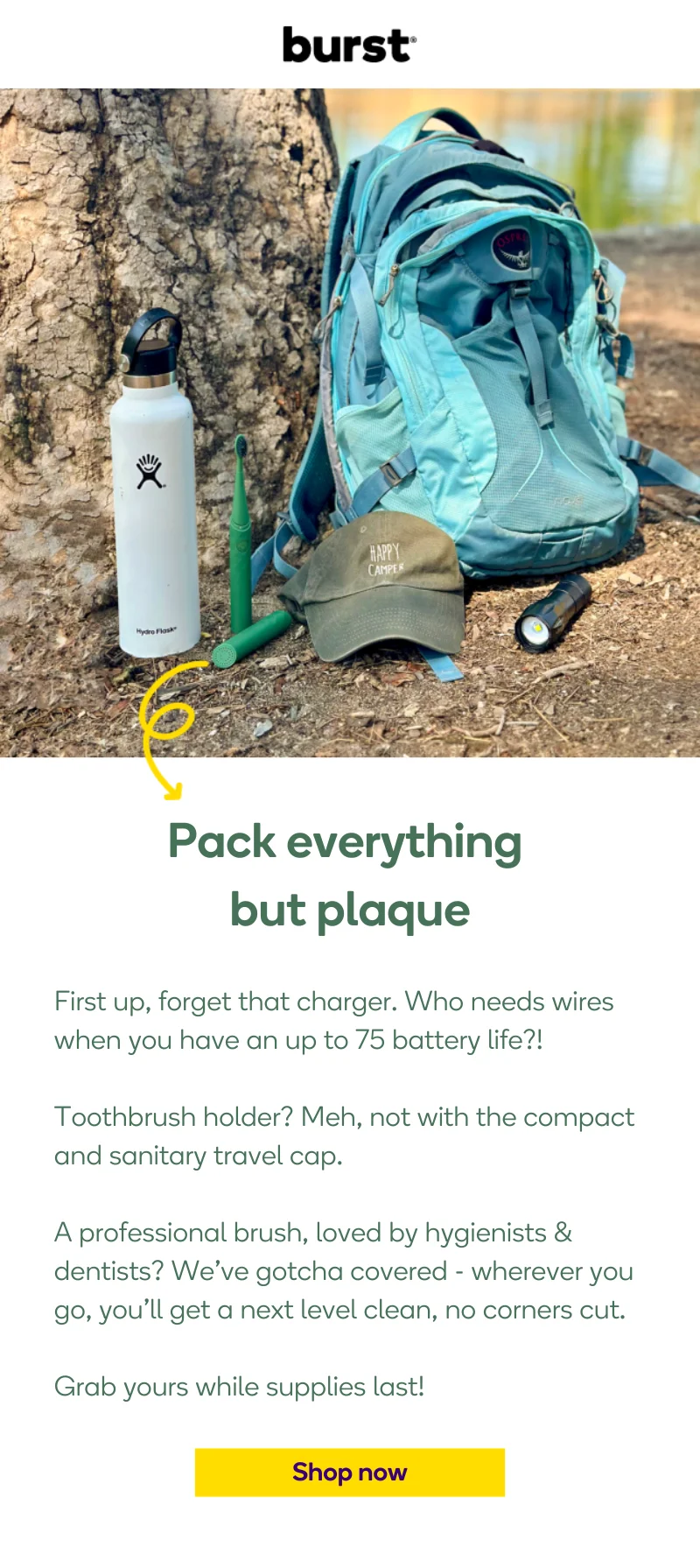 Pack everything but plaque