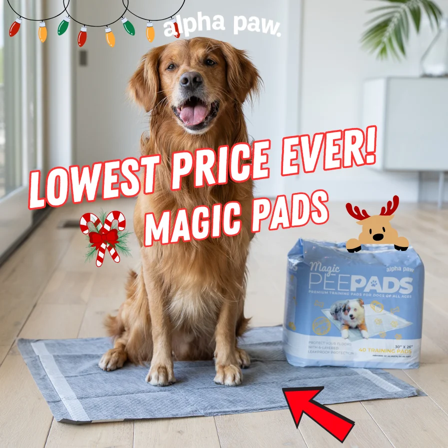 Magic Pad