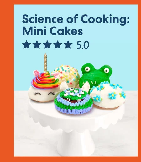 Science of Cooking: Mini Cakes