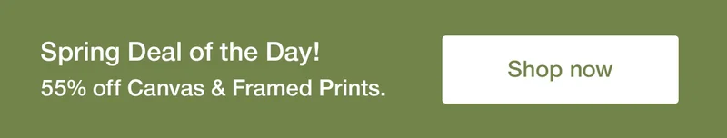 Deal of the day! Get 55% off frames & canvas prints