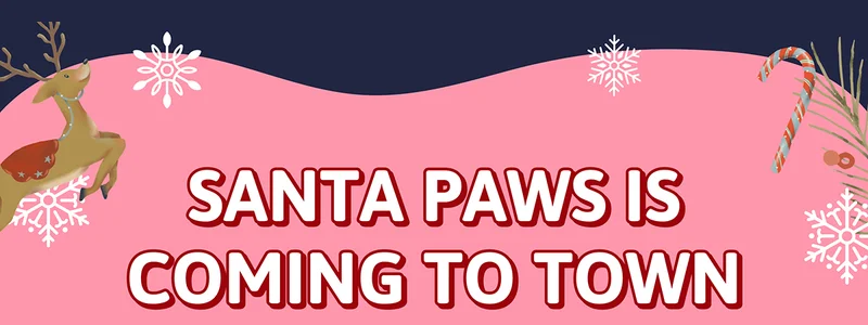 Santa Paws is Coming to Town