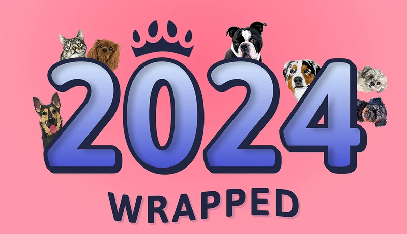 2024 WRAPPED