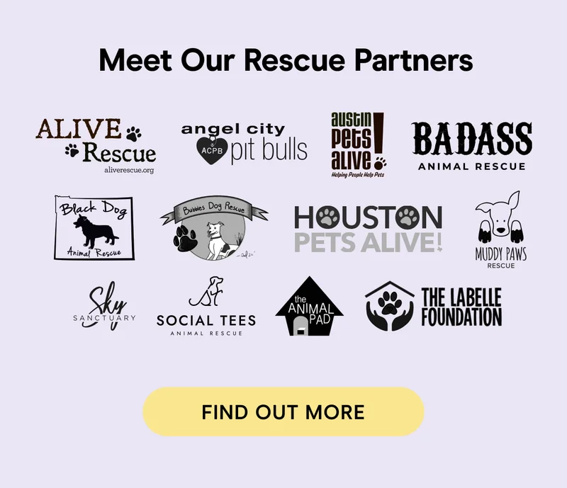 Meet our rescure partners find out more
