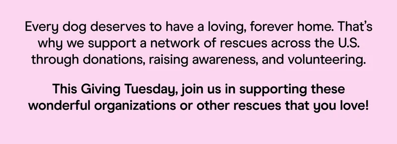Every dog deserves to have a loving, forever home. That’s why we support a network of rescues across the U.S. through donations, raising awareness, and volunteering. This Giving Tuesday, join us in supporting these wonderful organizations or other rescues that you love!