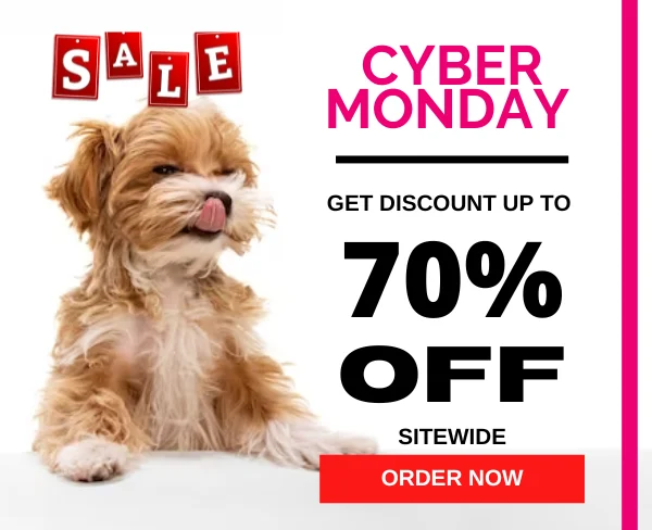 Cyber Monday Sale