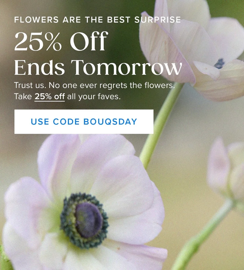 Flowers are the best surprise! 25% OFF ends tomorrow. Trust us. No one ever regrets the flowers. Take 25% off all your faves. Use code BOUQSDAY. Flowers are the best surprise! 25% OFF ends tomorrow. Trust us. No one ever regrets the flowers. Take 25% off all your faves. Use code BOUQSDAY.