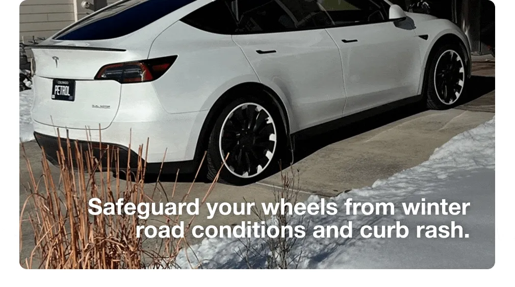Safeguard your wheels from winter road conditions and curb rash.