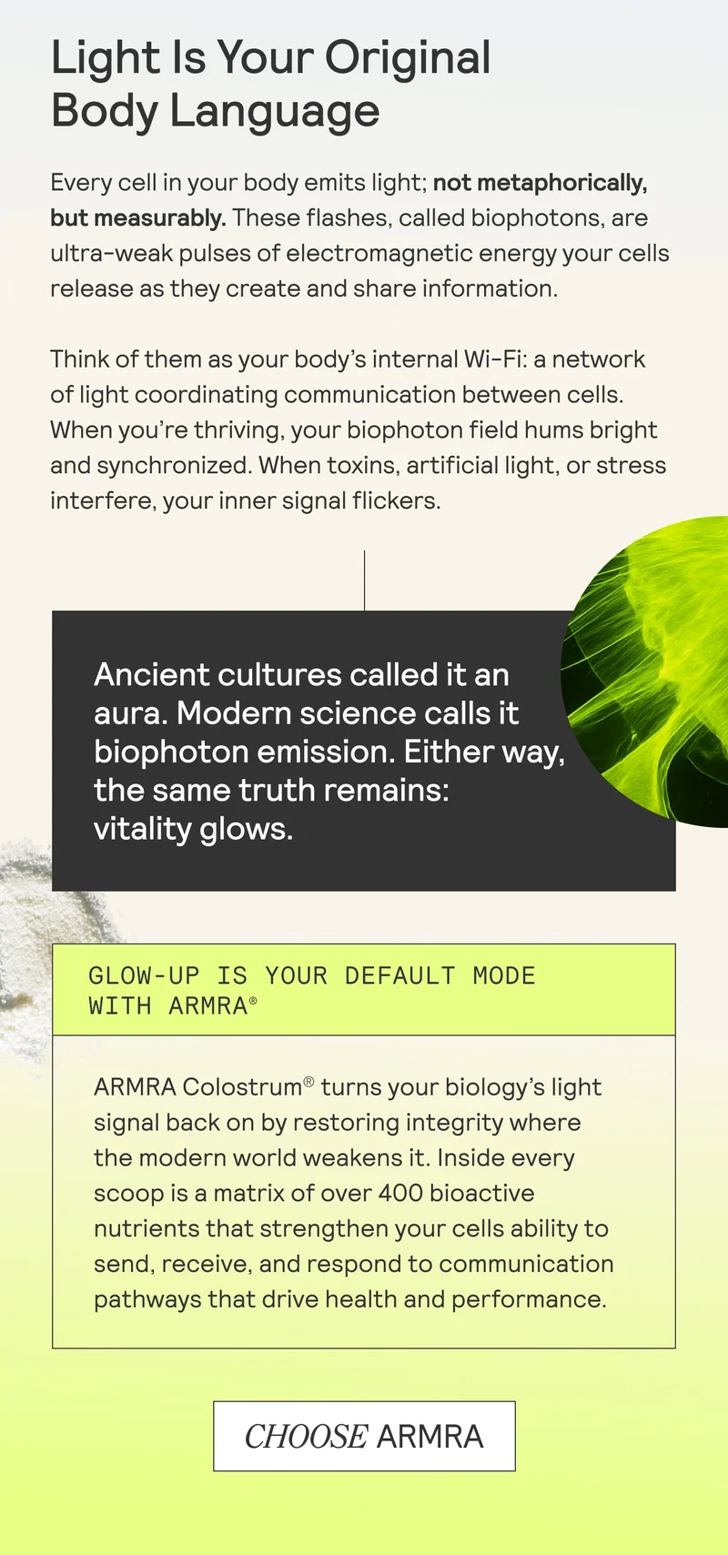 Informational graphic explaining biophoton emission and cellular communication, with highlighted text blocks.