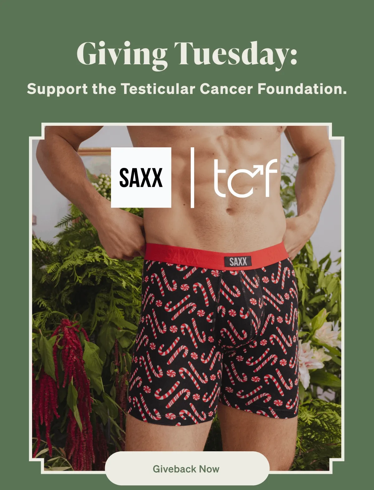 Giving Tuesday: Support the Testicular Cancer Foundation.