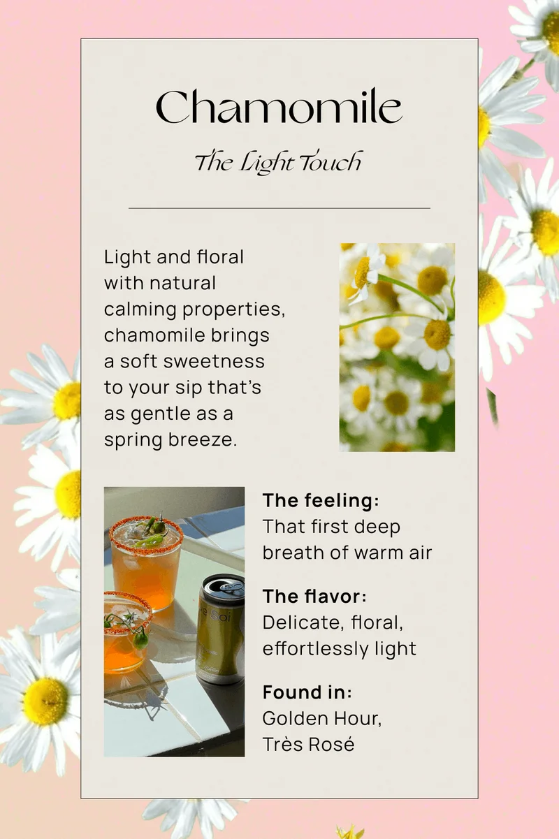Chamomile | The Light Touch | Light and floral  with natural  calming properties, chamomile brings  a soft sweetness  to your sip that’s  as gentle as a spring breeze. |  The feeling: That first deep breath of warm air | The flavor: Delicate, floral, effortlessly light | Found in: Golden Hour,  Très Rosé