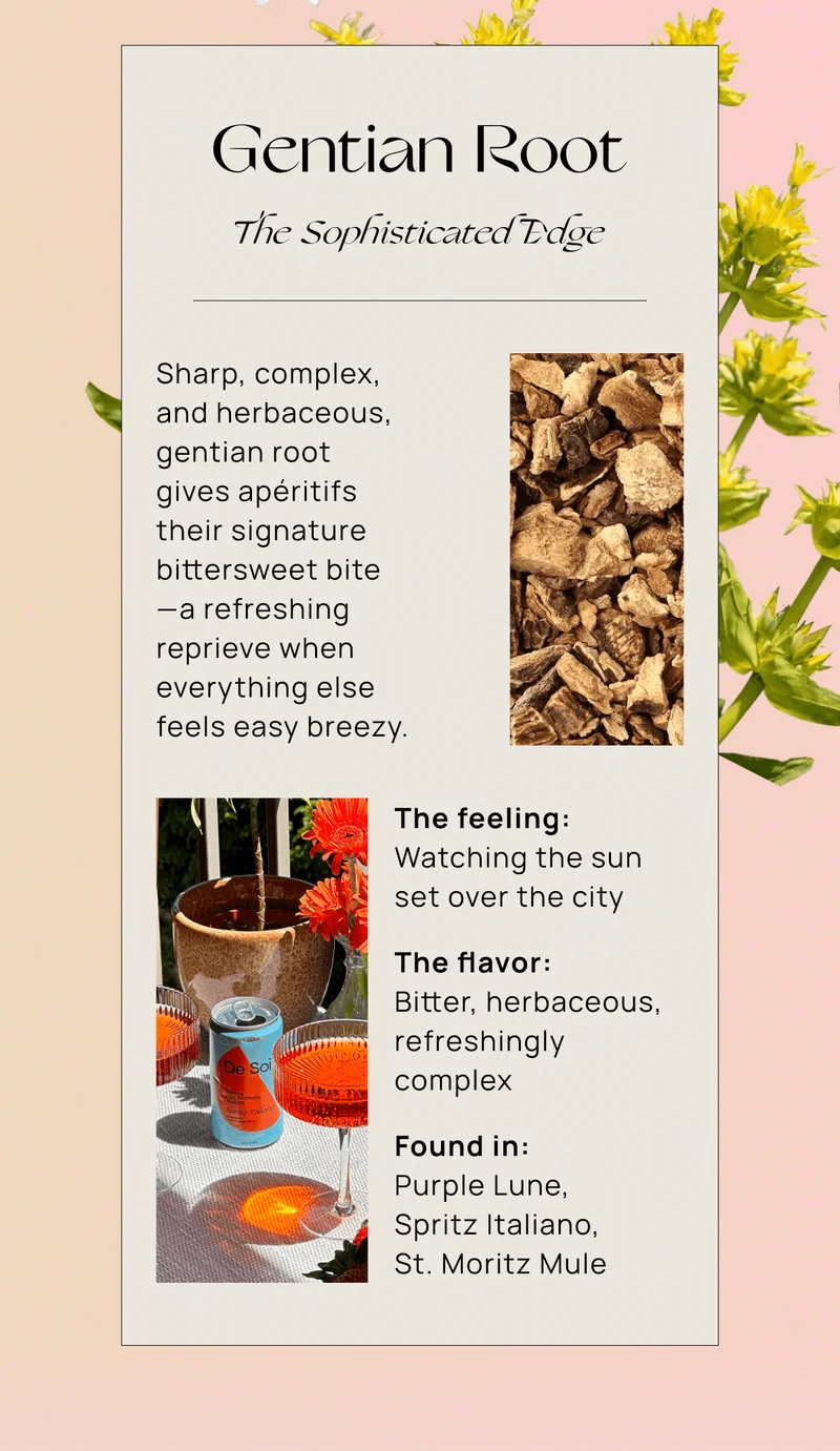 Gentian Root | The Sophisticated Edge | Sharp, complex,  and herbaceous, gentian root  gives apéritifs  their signature bittersweet bite —a refreshing reprieve when everything else feels easy breezy. | The feeling: Watching the sun set over the city | The flavor: Bitter, herbaceous, refreshingly complex | Found in: Purple Lune,  Spritz Italiano,  St. Moritz Mule