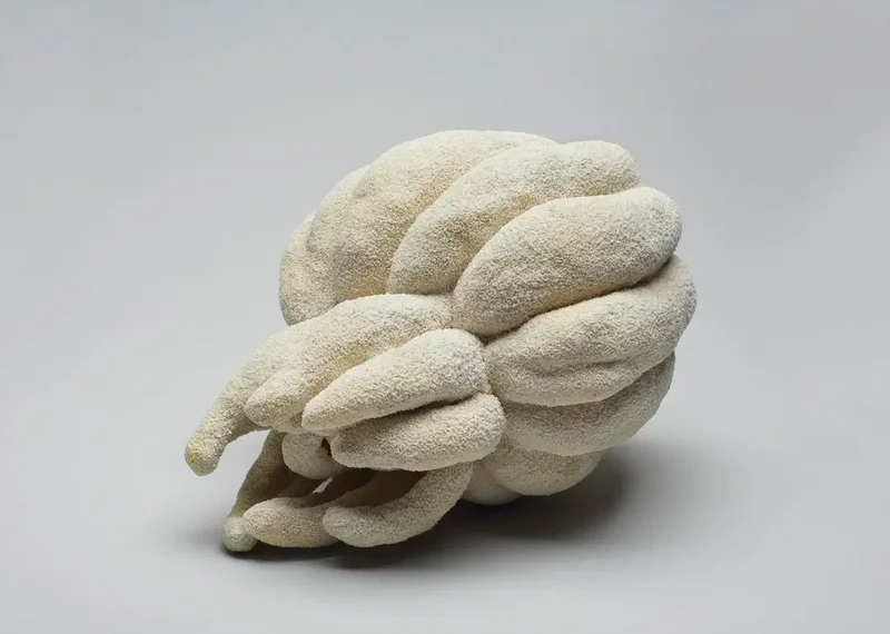 “Biomorphic Sculpture” by Katsumata Chieko