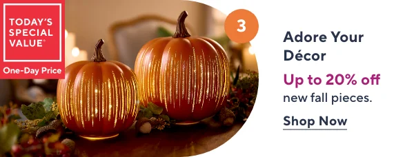 Up to 20% Off Fall Decor
