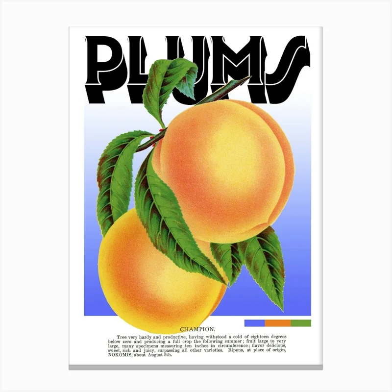 Image of Plums Graphic Wall Art Vintage Unique Eclectic Canvas Print