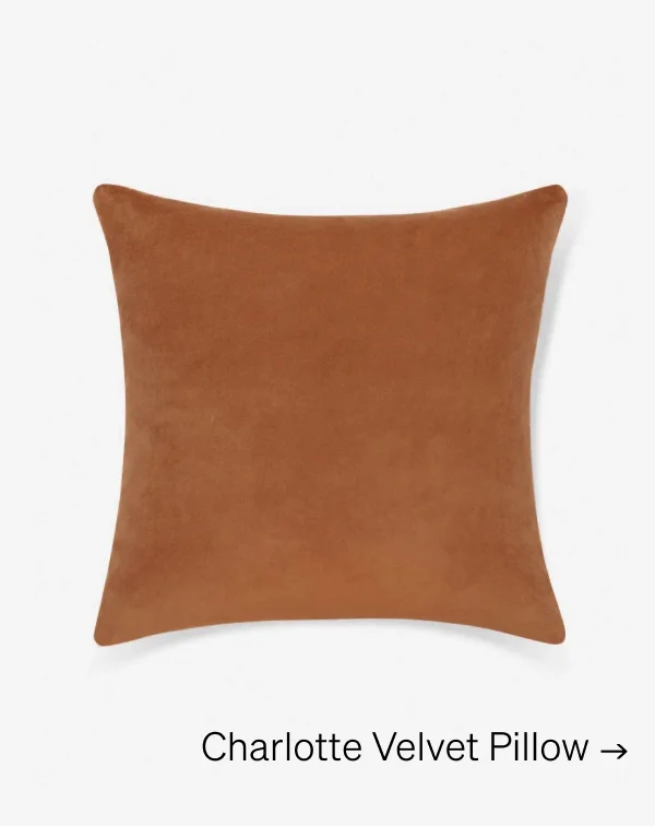 Shop Charlotte Velvet Pillow