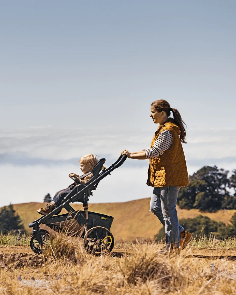 switchback seat roll stroller frame
