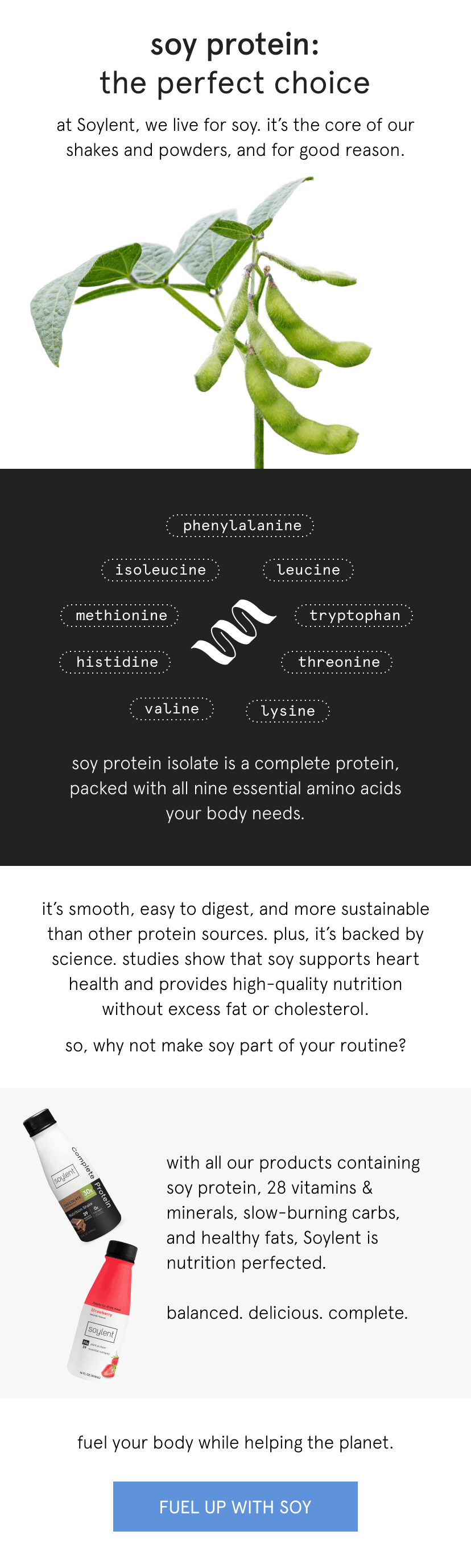 soy protein