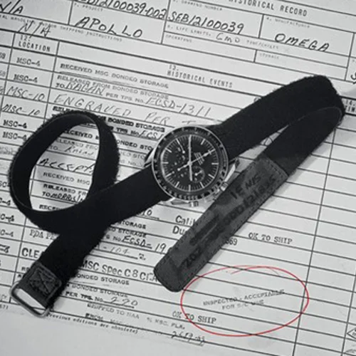 Moonwatch approved