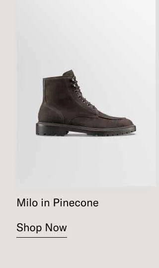 Milo in Pinecone. Shop Now
