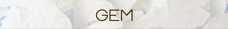 GEM
