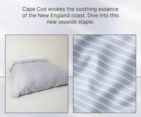 Cape Cod evokes the soothing essence of the New England coast. Dive into this new seaside staple.
