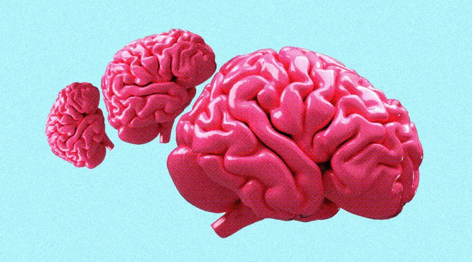 Brain Health