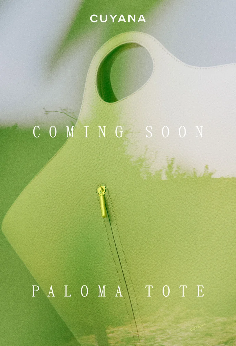 Cuyana Coming Soon Paloma Tote