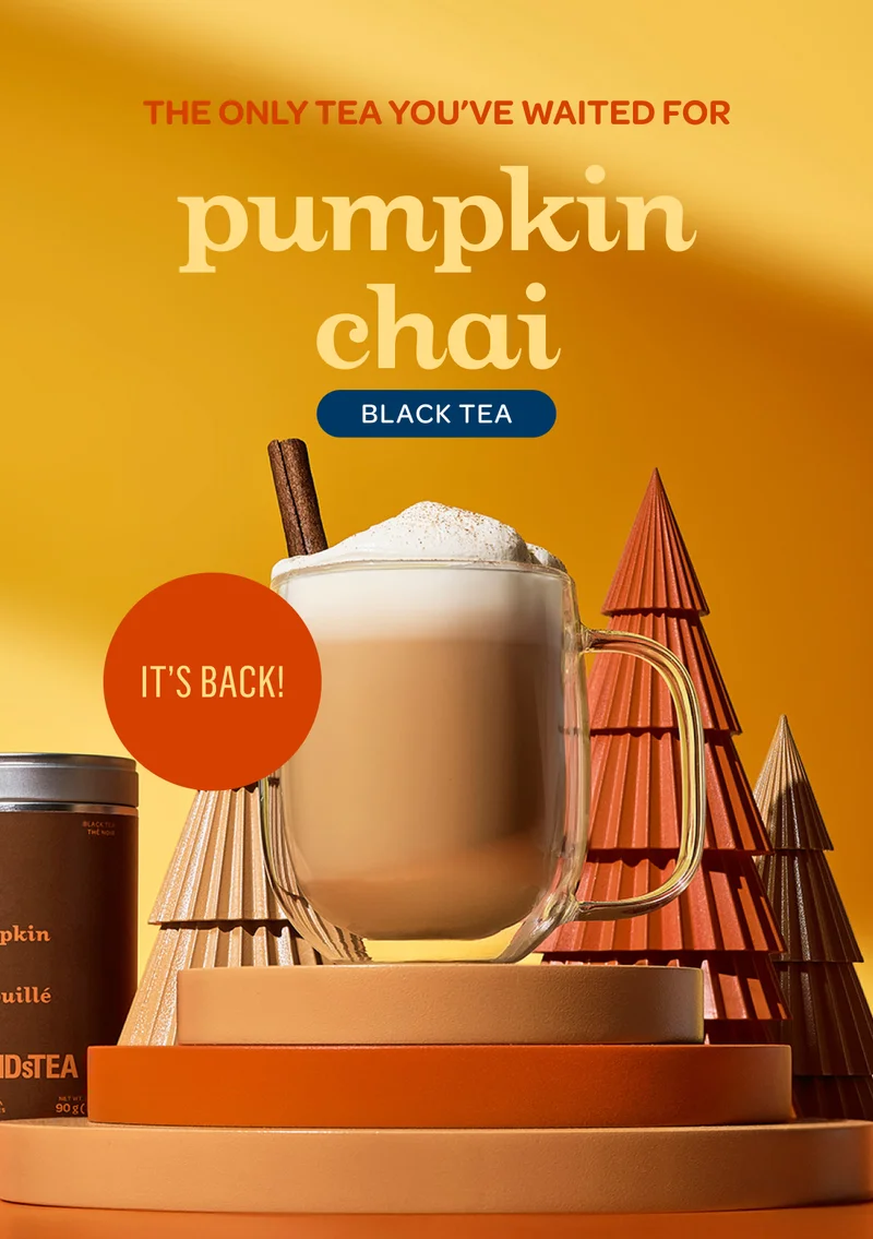Pumpkin chai - It's back!