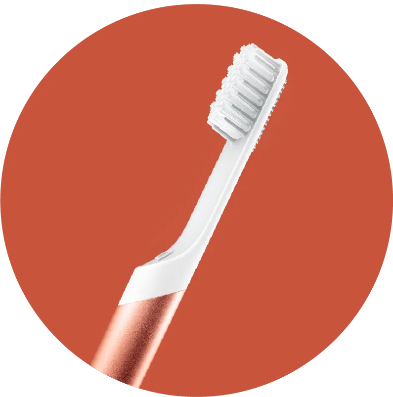 Shop Electric Brushes