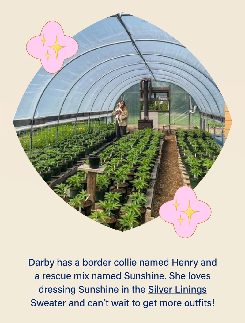 Darby has a border collie named Henry and a rescue mix named Sunshine.