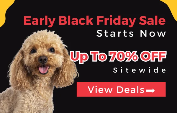 Black Friday Sale