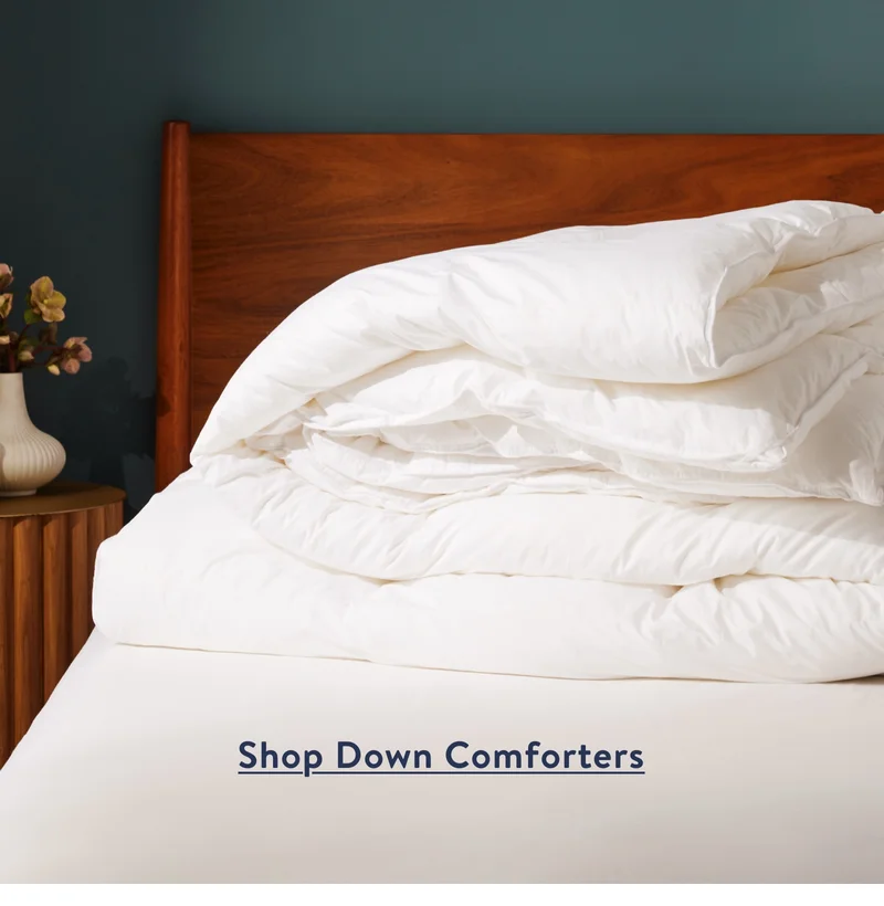 Shop down comforters