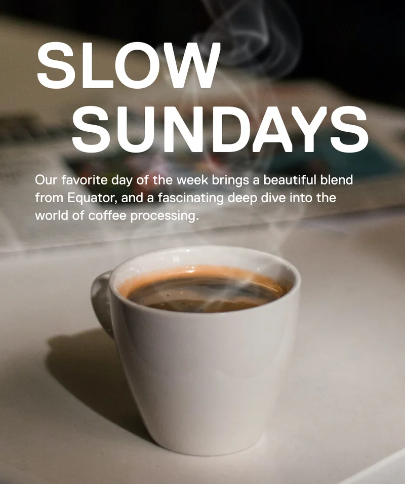 Slow Sundays. Our favorite day of the week brings a beautiful blend from Equator, and a fascinating deep dive into the world of coffee processing.