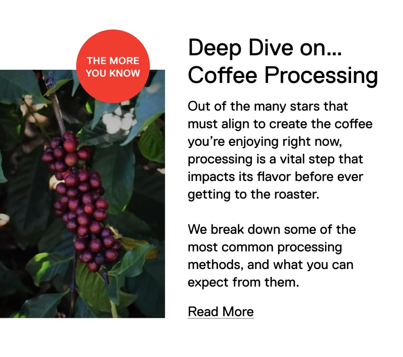 Deep Dive on.... Coffee Processing. Out of the many stars that must align to create the coffee you’re enjoying right now, processing is a vital step that impacts its flavor before ever getting to the roaster.  We break down some of the most common processing methods, and what you can expect from them. Read More