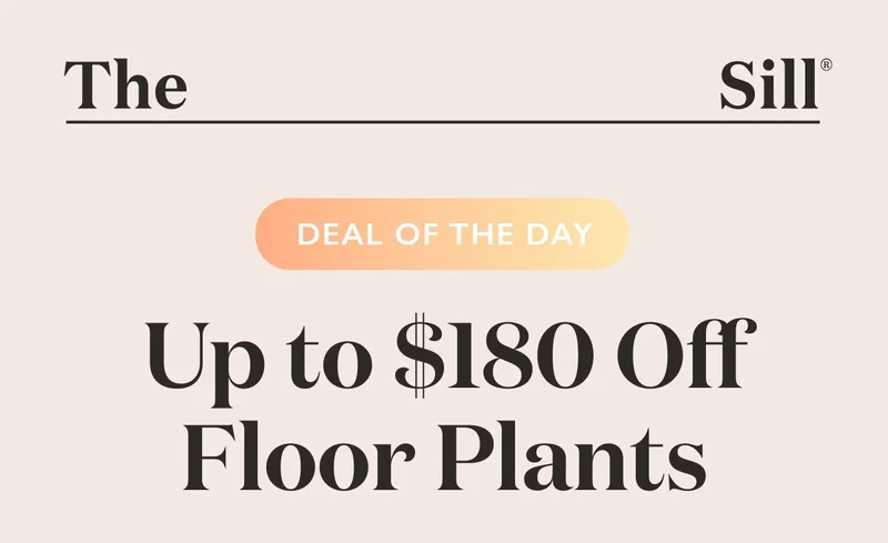 Deal of the Day: Large Floor Plants Up To $180 Off