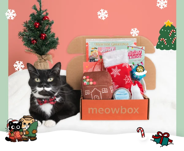 Image of a black and white cat with the Mewtide Greetings box (featuring toys like the Pawliday Chaser Cat Toy, Meowy Mantel Cat Toy, Catmas Confections Multi-Pack Cat Toy and more)