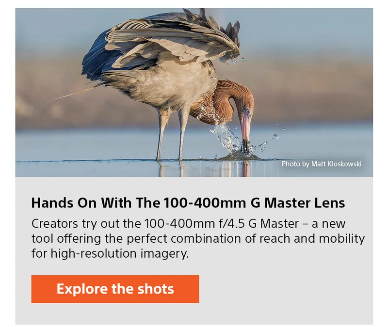 Hands On With The 100-400mm G Master Lens | Creators try out the 100-400mm f/4.5 G Master - a new tool offering the perfect combination of reach and mobility for high-resolution imagery. Explore the shots