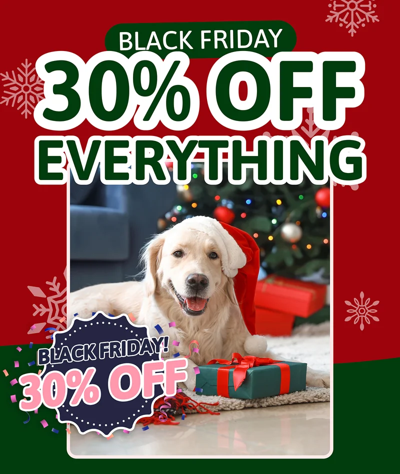 Black Friday: 30% OFF EVERYTHING