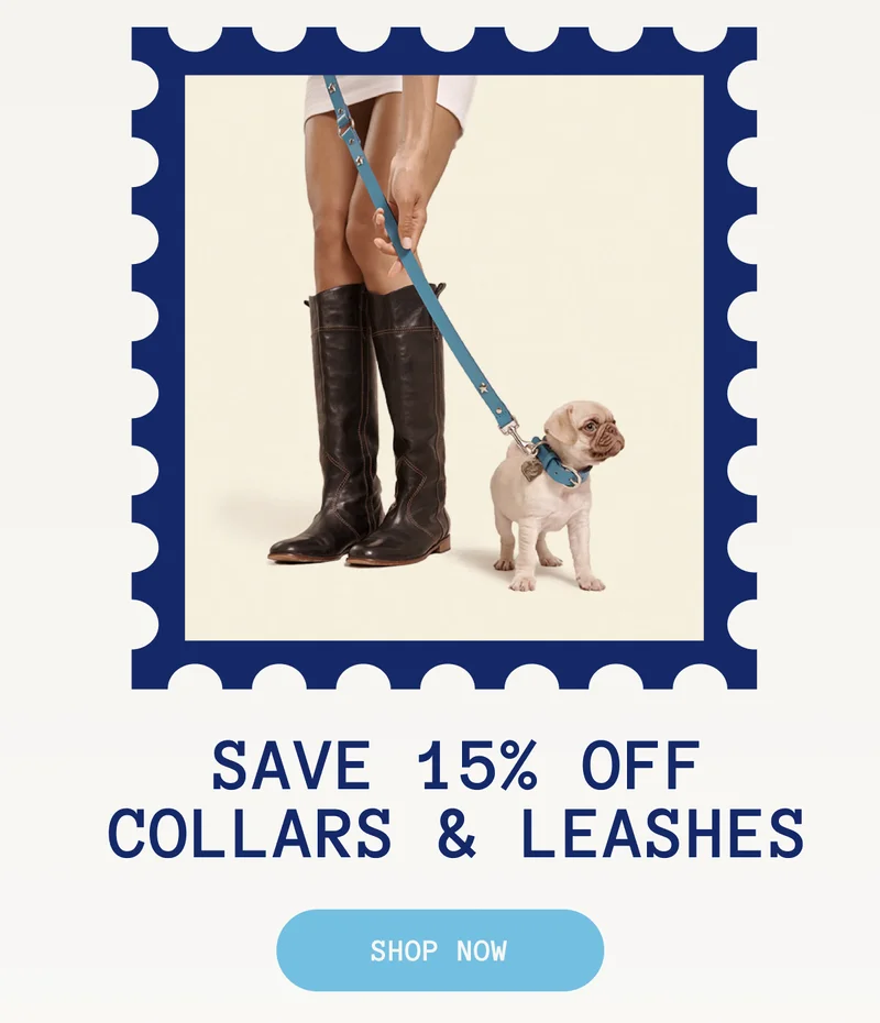 15% OFF Collars & Leashes