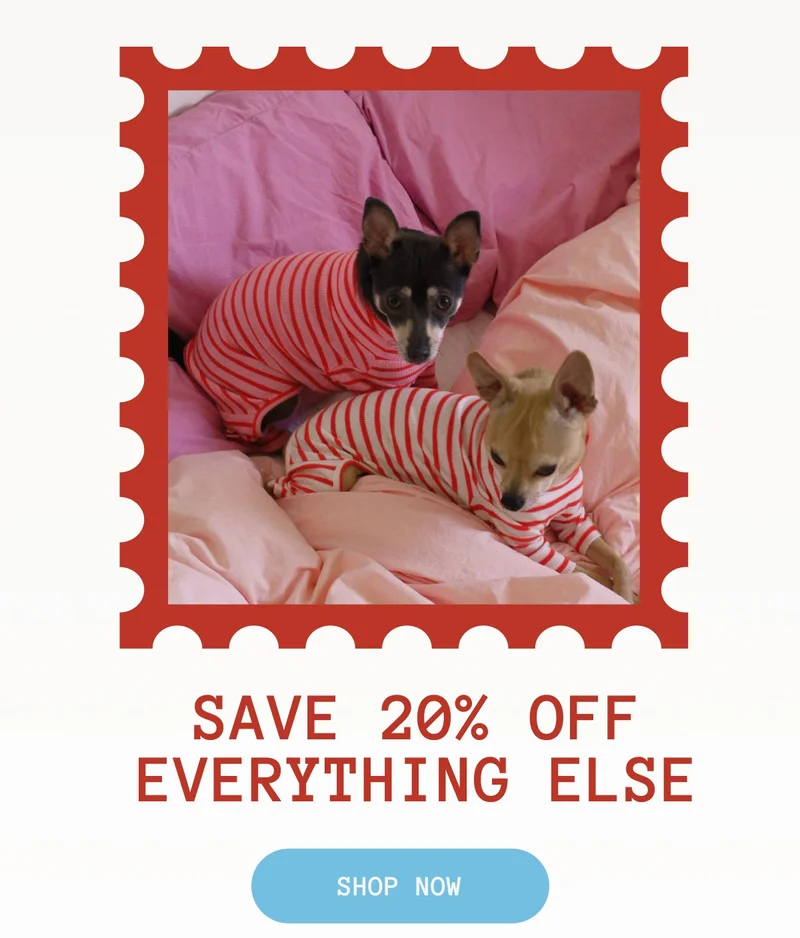 20% OFF Everything Else