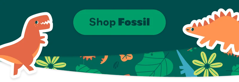 Shop Fossil