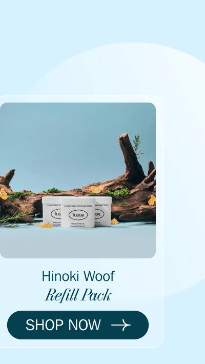 Bestsmellers - Hinoki Wood Refill Pack SHOP NOW