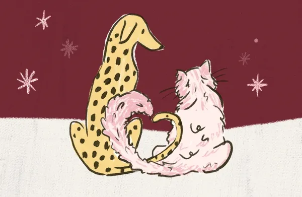 Cat illustration