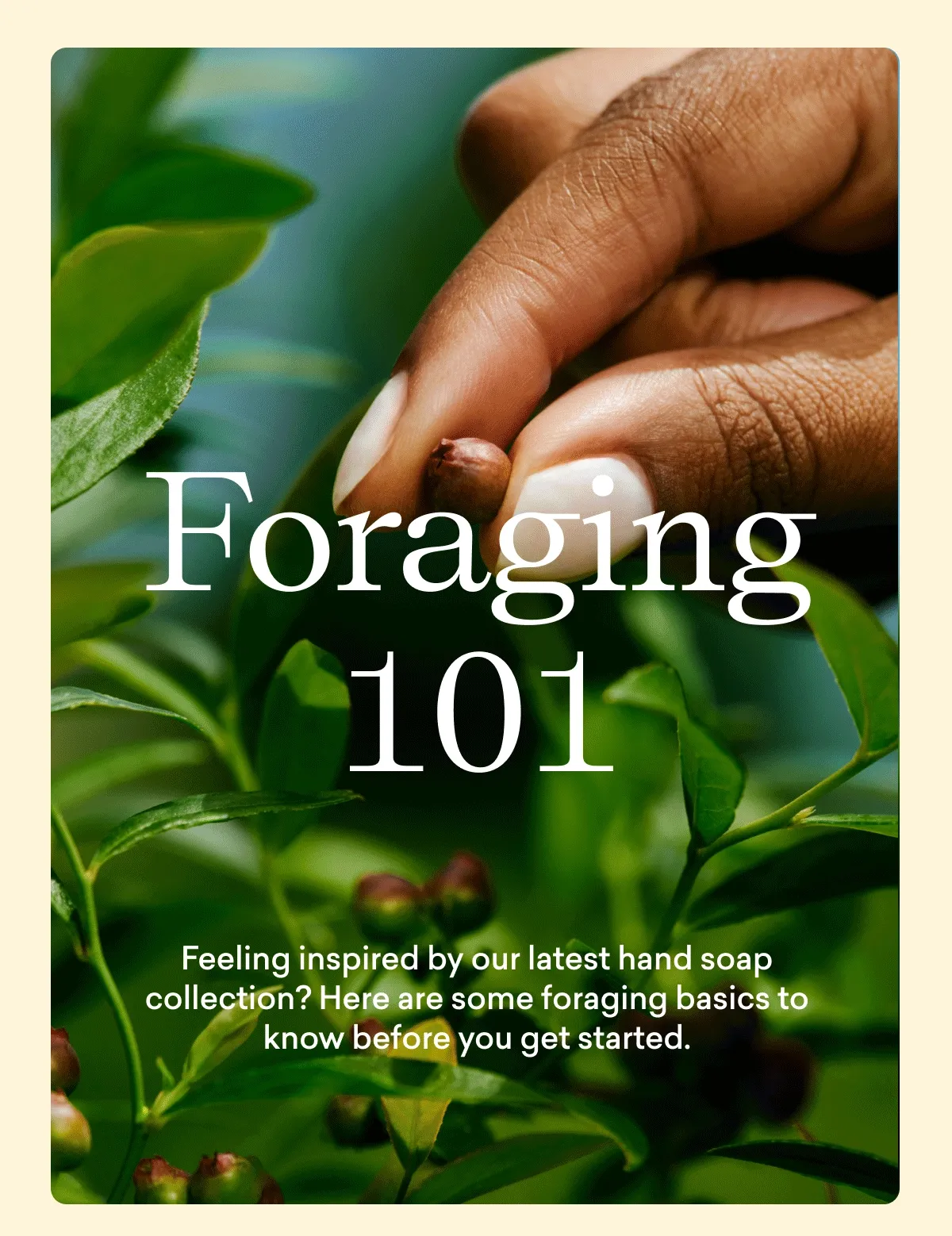 Foraging 101