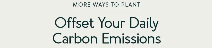 Offset Your Daily Carbon Emissions