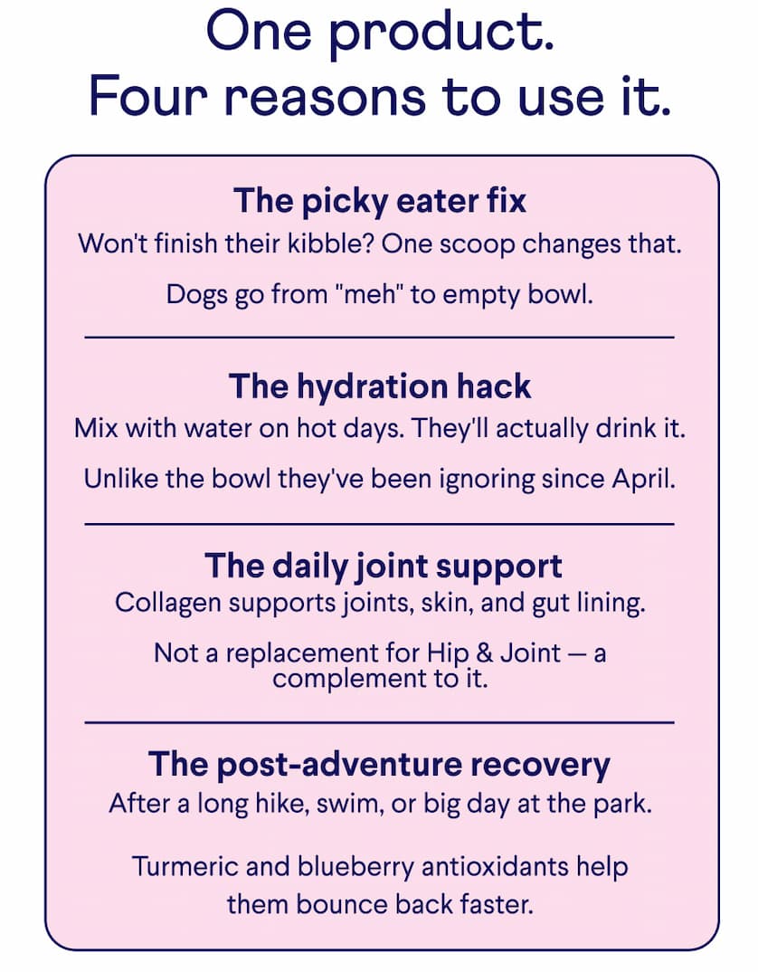 Text: One product. Four reasons to use it. Won't finish their kibble? One scoop changes that. &nbsp; Dogs go from "meh" to empty bowl.  The picky eater fix Mix with water on hot days. They'll actually drink it. &nbsp; Unlike the bowl they've been ignoring since April. The hydration hack &nbsp;The daily joint support Collagen supports joints, skin, and gut lining. &nbsp; Not a replacement for Hip & Joint — a complement to it.  The post-adventure recovery After a long hike, swim, or big day at the park. &nbsp; Turmeric and blueberry antioxidants help them bounce back faster.
