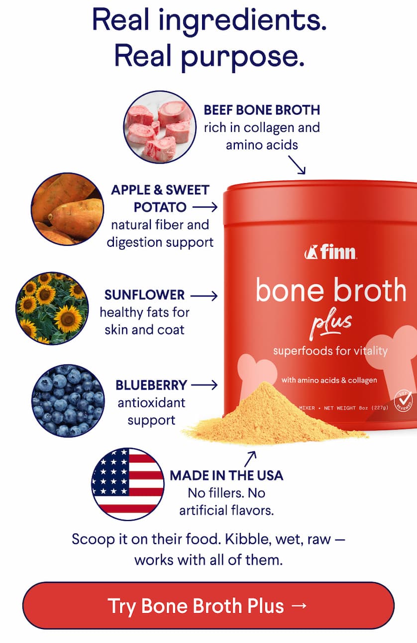 Text: Real ingredients. Real purpose. Beef bone broth rich in collagen and amino acids  Apple & sweet potato natural fiber and digestion support Sunflower healthy fats for skin and coat  Blueberry antioxidant support Made in the USA No fillers. No artificial flavors. &nbsp; Scoop it on their food. Kibble, wet, raw — works with all of them. CTA: Try Bone Broth Plus →